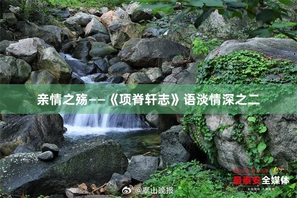 亲情之殇——《项脊轩志》语淡情深之二