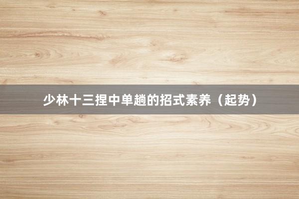 少林十三捏中单趟的招式素养（起势）