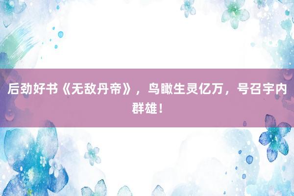 后劲好书《无敌丹帝》，鸟瞰生灵亿万，号召宇内群雄！