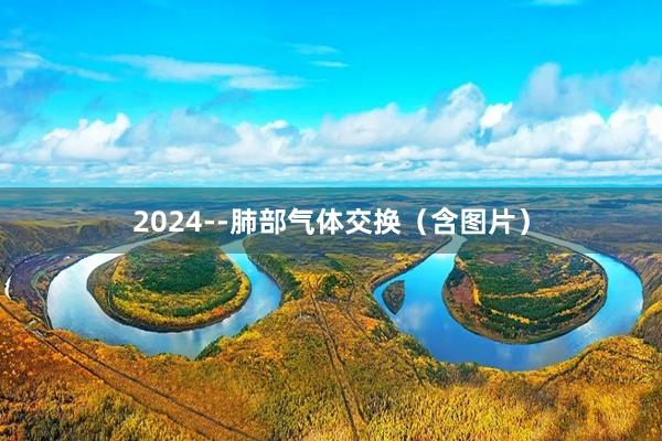 2024--肺部气体交换（含图片）