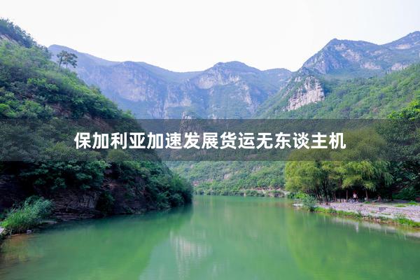 保加利亚加速发展货运无东谈主机