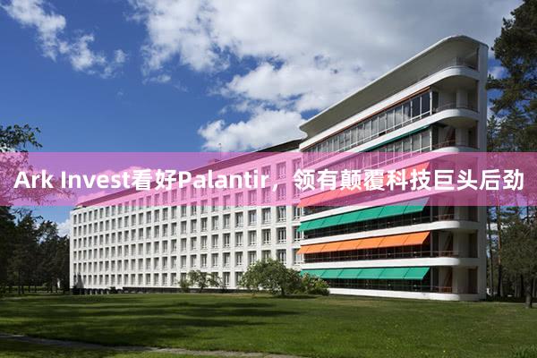 Ark Invest看好Palantir，领有颠覆科技巨头后劲