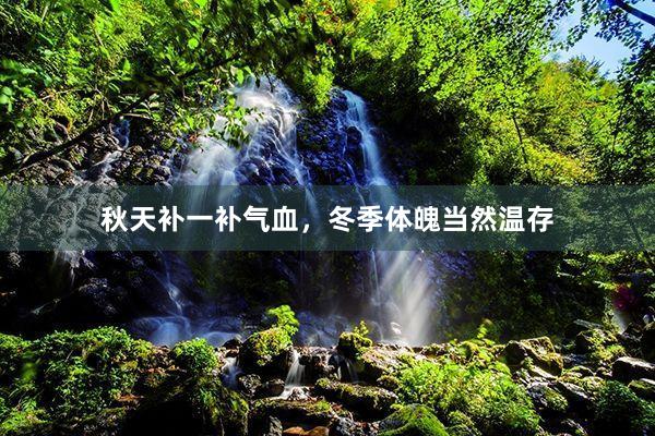 秋天补一补气血，冬季体魄当然温存