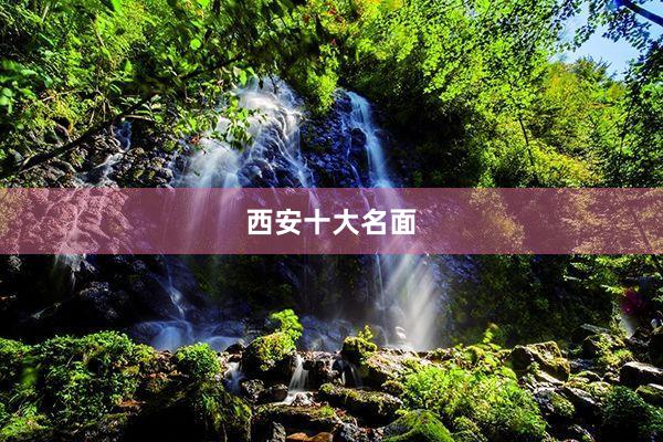 西安十大名面