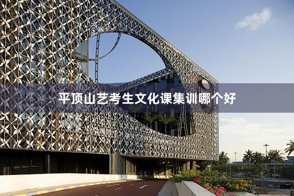 平顶山艺考生文化课集训哪个好
