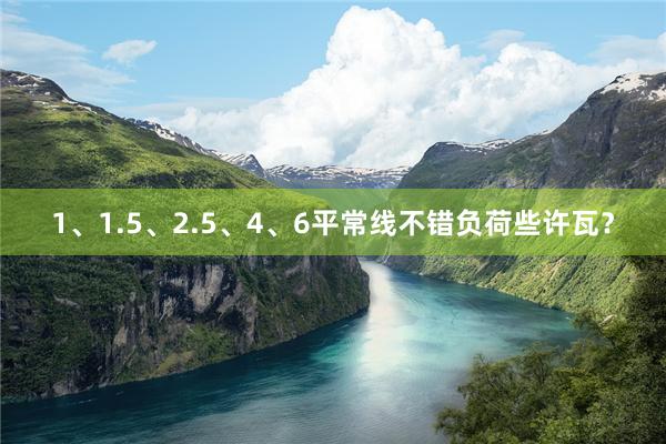 1、1.5、2.5、4、6平常线不错负荷些许瓦？