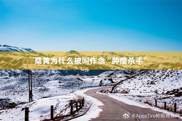 桑黄为什么被叫作念“肿瘤杀手”