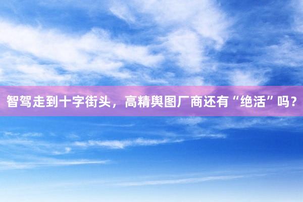 智驾走到十字街头，高精舆图厂商还有“绝活”吗？