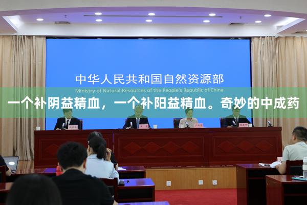 一个补阴益精血，一个补阳益精血。奇妙的中成药