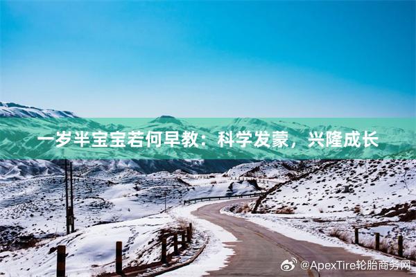 一岁半宝宝若何早教：科学发蒙，兴隆成长
