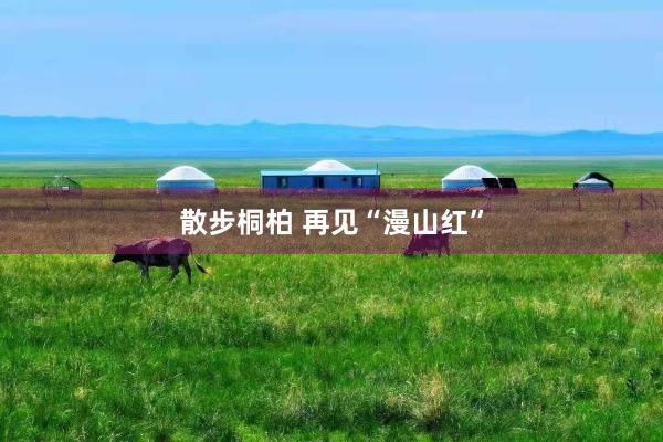 散步桐柏 再见“漫山红”