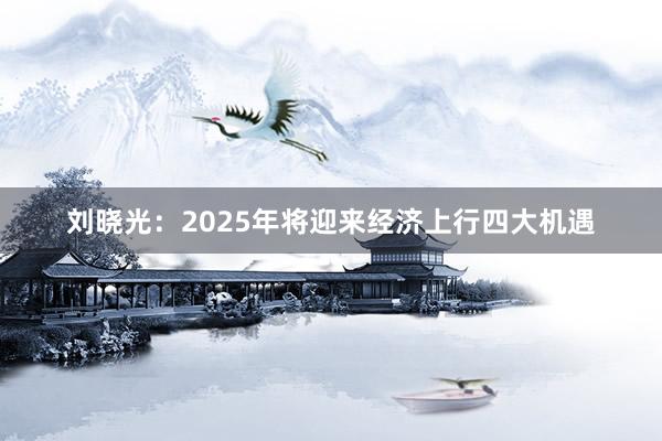 刘晓光：2025年将迎来经济上行四大机遇
