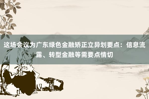 这场会议为广东绿色金融矫正立异划要点：信息流露、转型金融等需要点情切