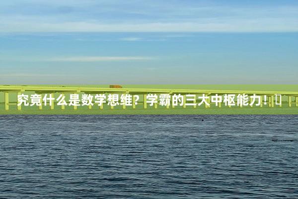 究竟什么是数学想维？学霸的三大中枢能力！​