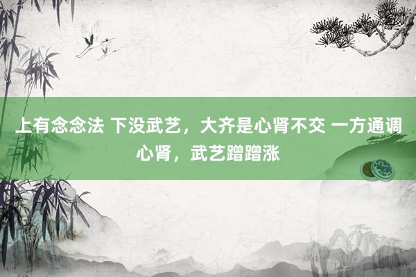 上有念念法 下没武艺，大齐是心肾不交 一方通调心肾，武艺蹭蹭涨